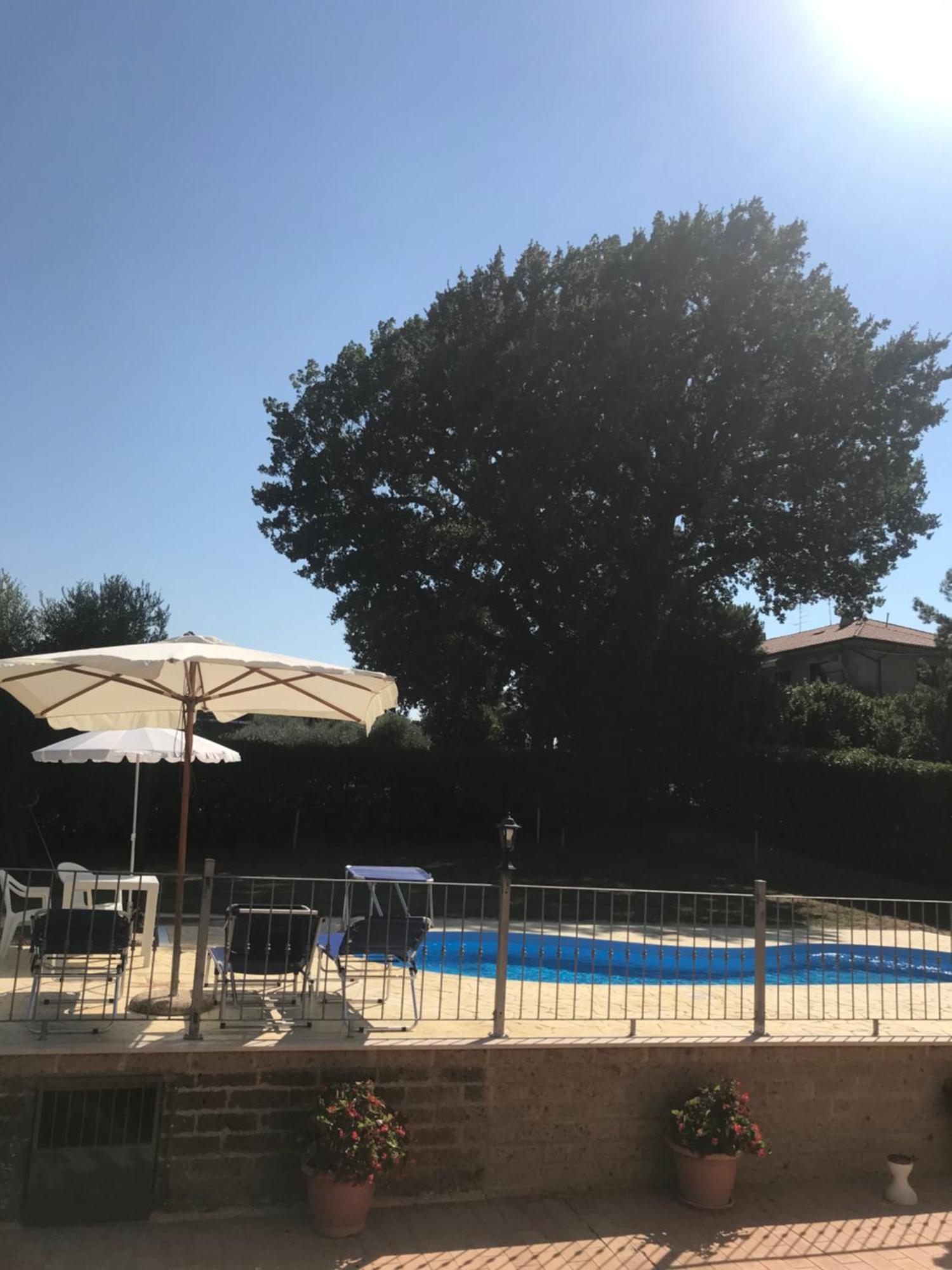 Agriturismo Cerquatonda Montalto delle Marche 外观 照片