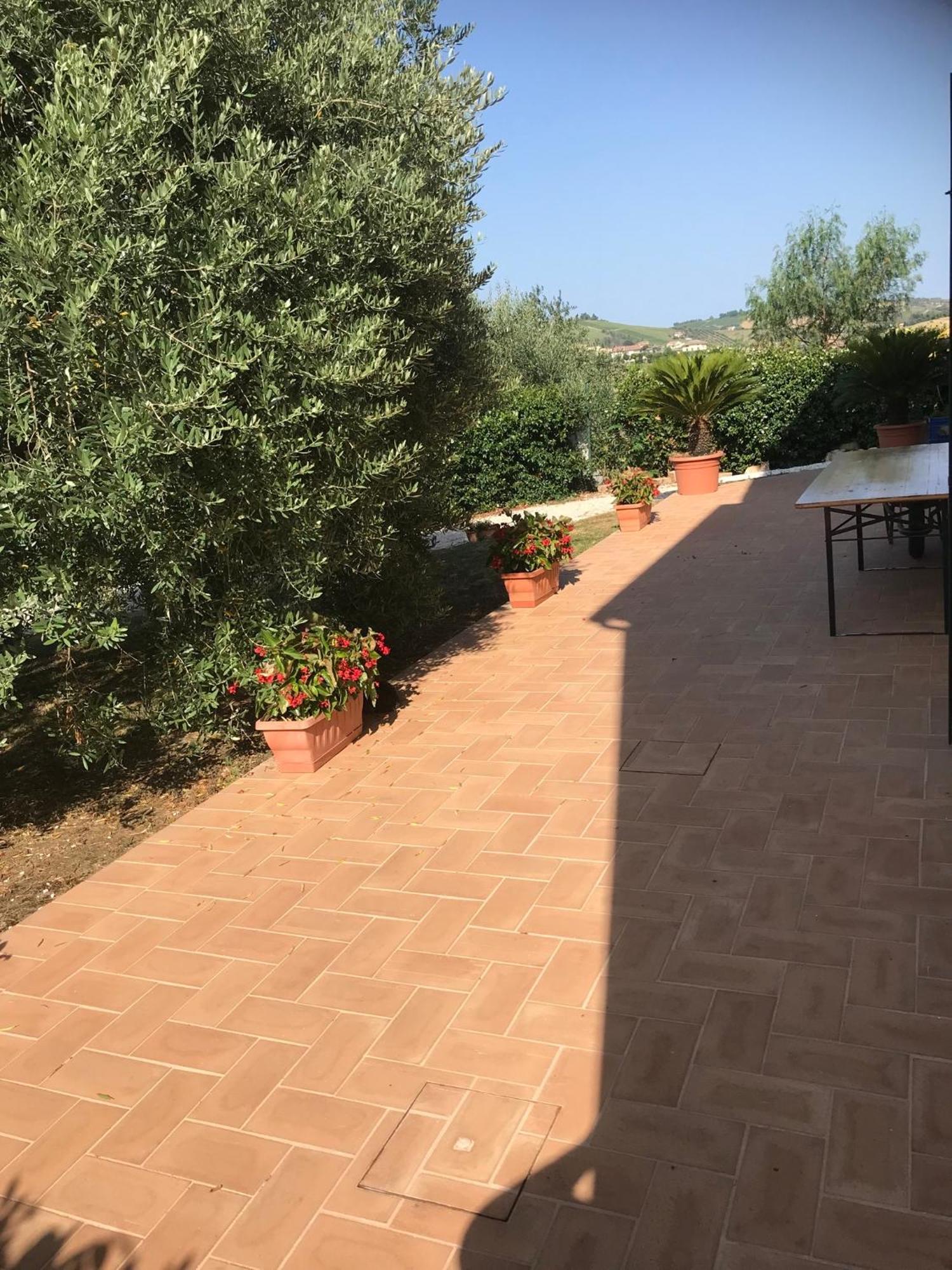 Agriturismo Cerquatonda Montalto delle Marche 外观 照片