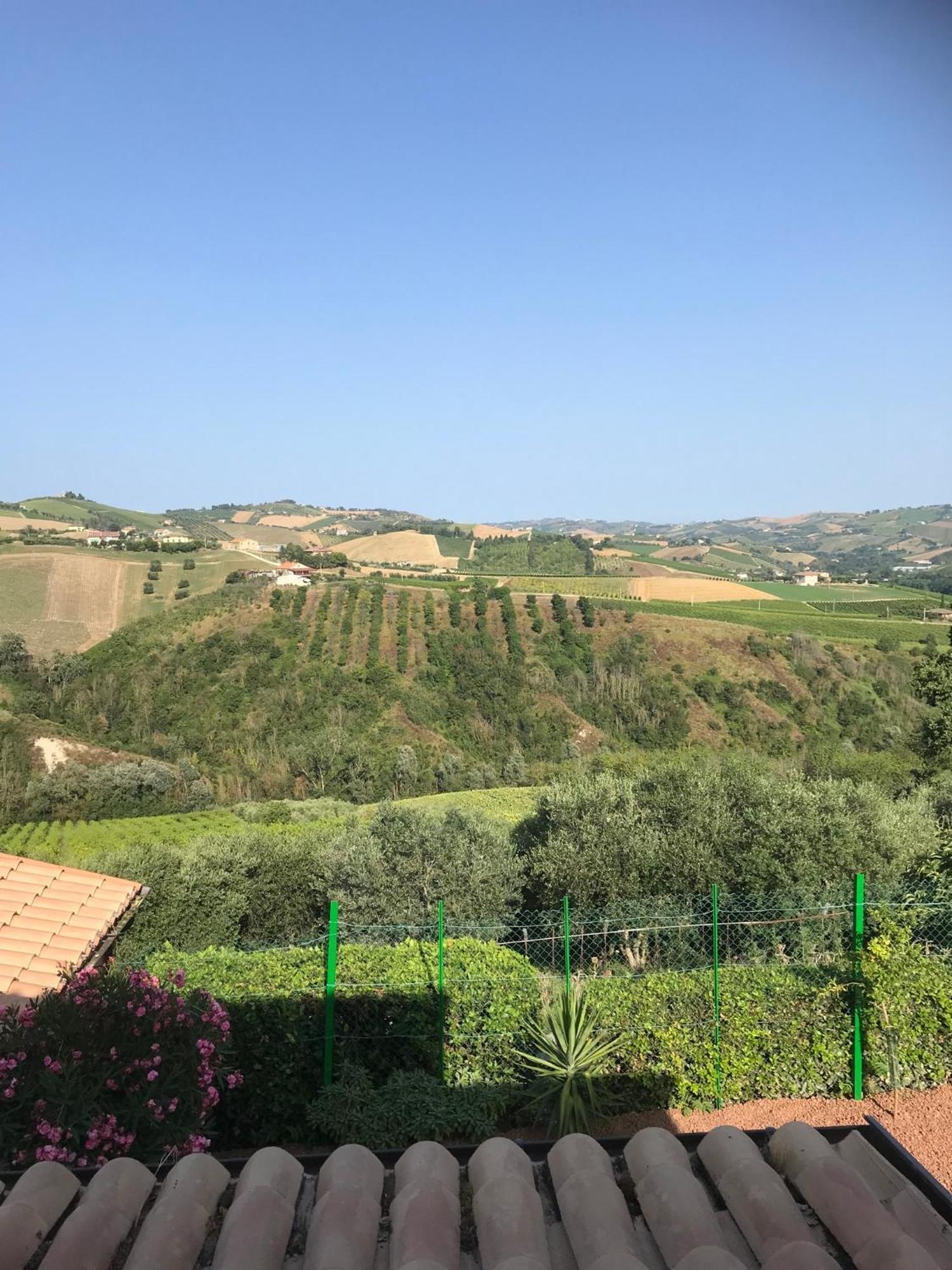 Agriturismo Cerquatonda Montalto delle Marche 外观 照片