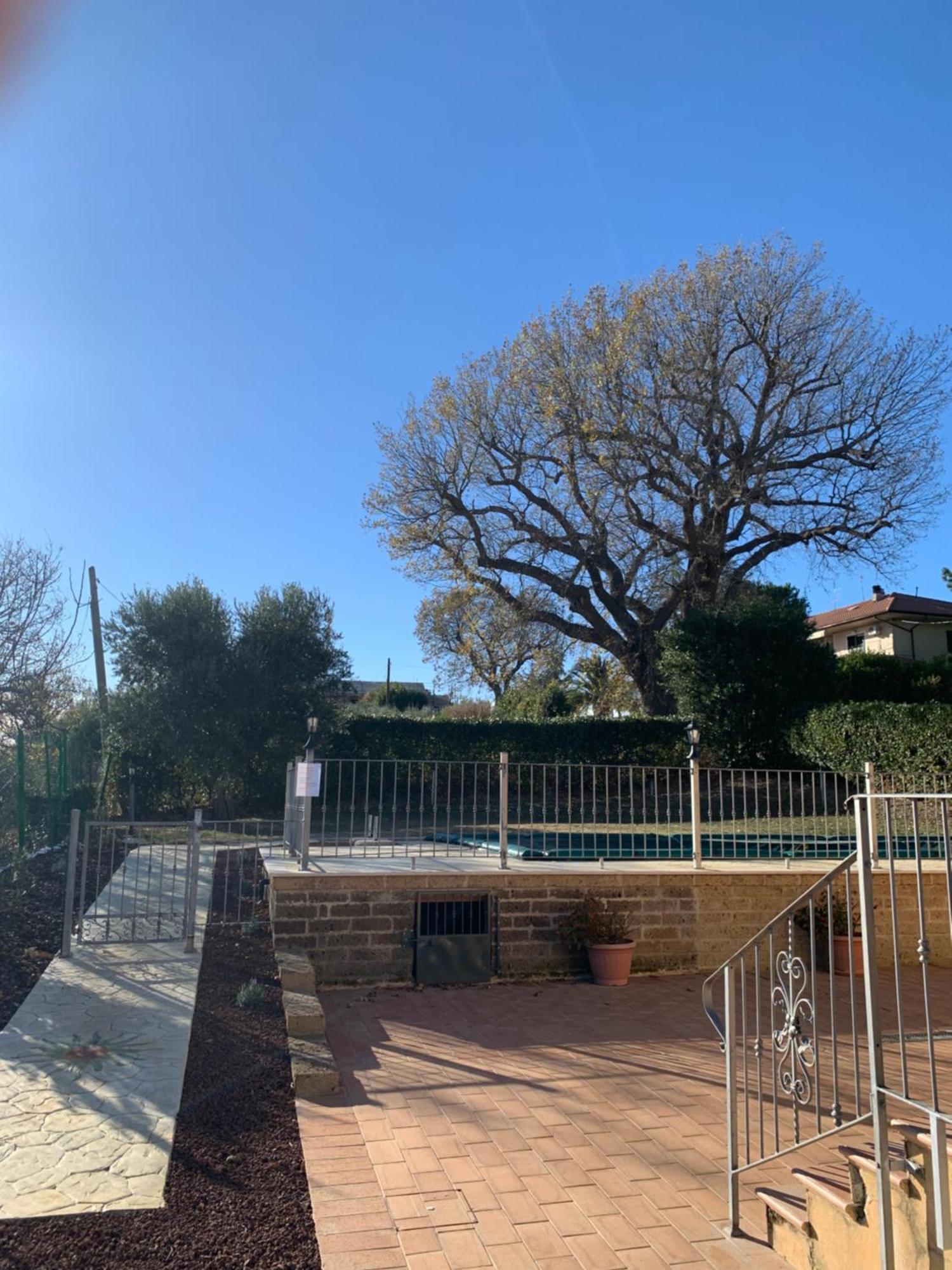 Agriturismo Cerquatonda Montalto delle Marche 外观 照片